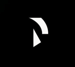 【RDN】RaidenNetwork(ライデンネットワーク)とは?投資判断について