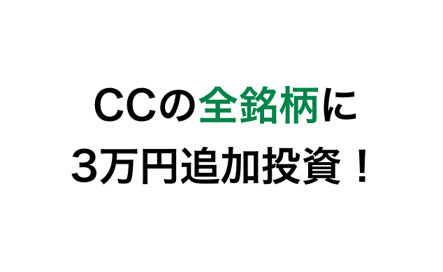 【暴落は買い】コインチェックの全アルトコイン銘柄を3万円ずつ買い増し! #増資